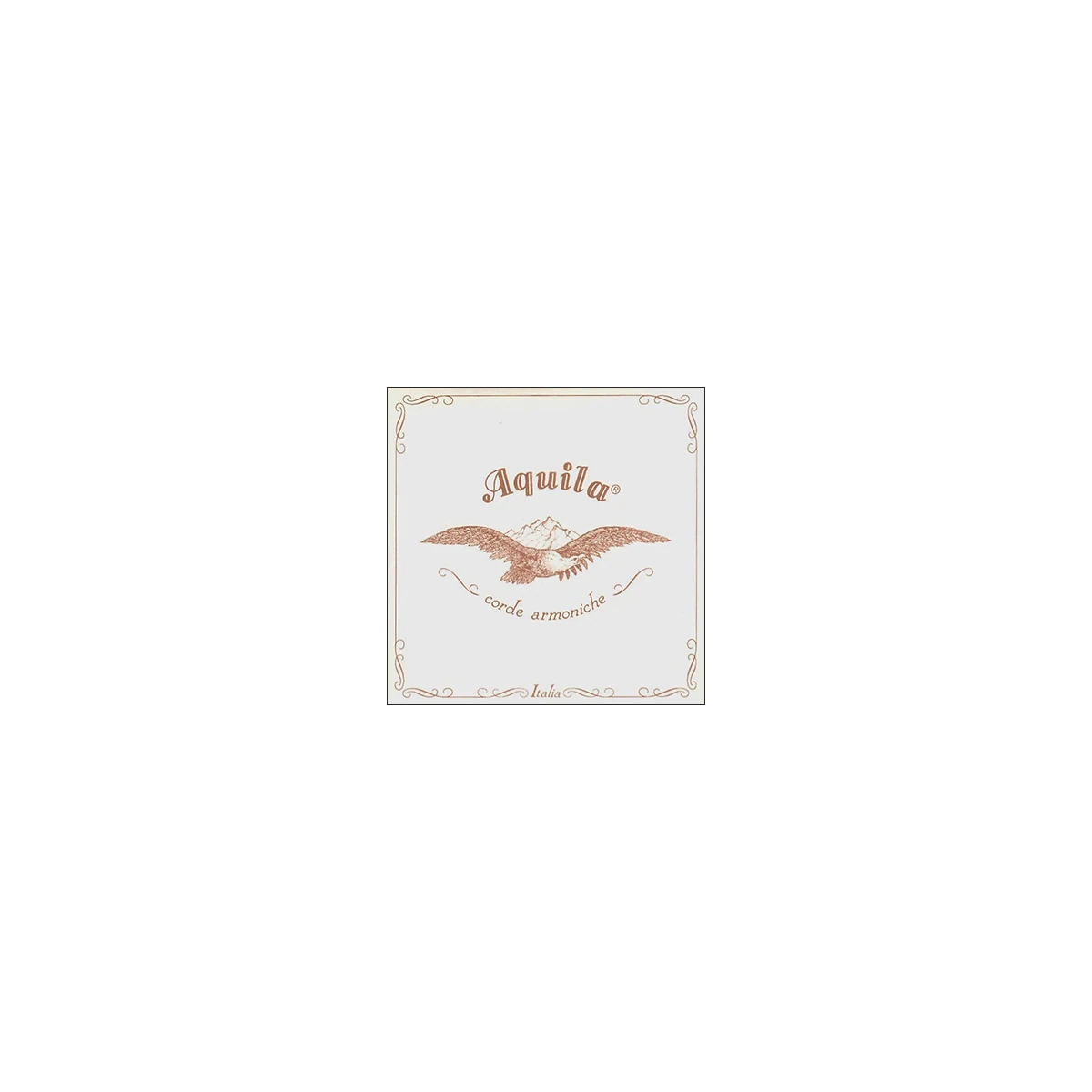 Aquila Aquila