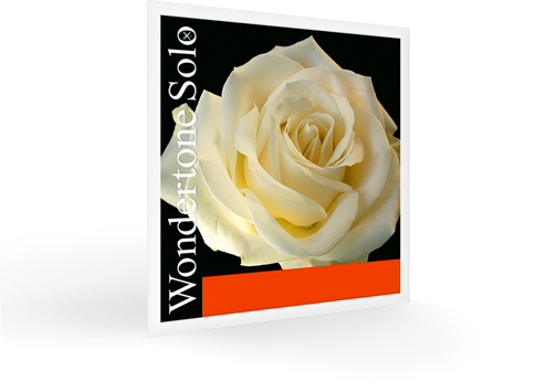 Pirastro Wondertone Solo
